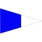 Size 2 2nd Substitute Signal Pennant w/ Grommets