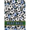 Soccer Balls House Flag