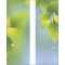 30 x 60 in. Seasonal Banner Summer Leaves & Raindrops-Double Sided